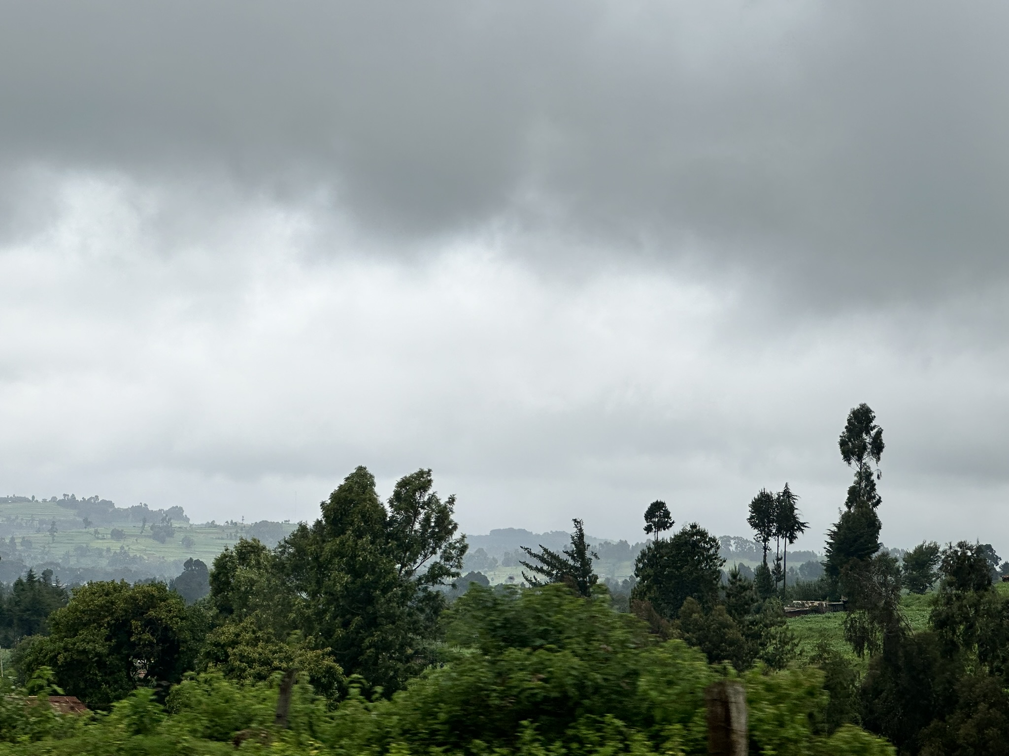 Meru