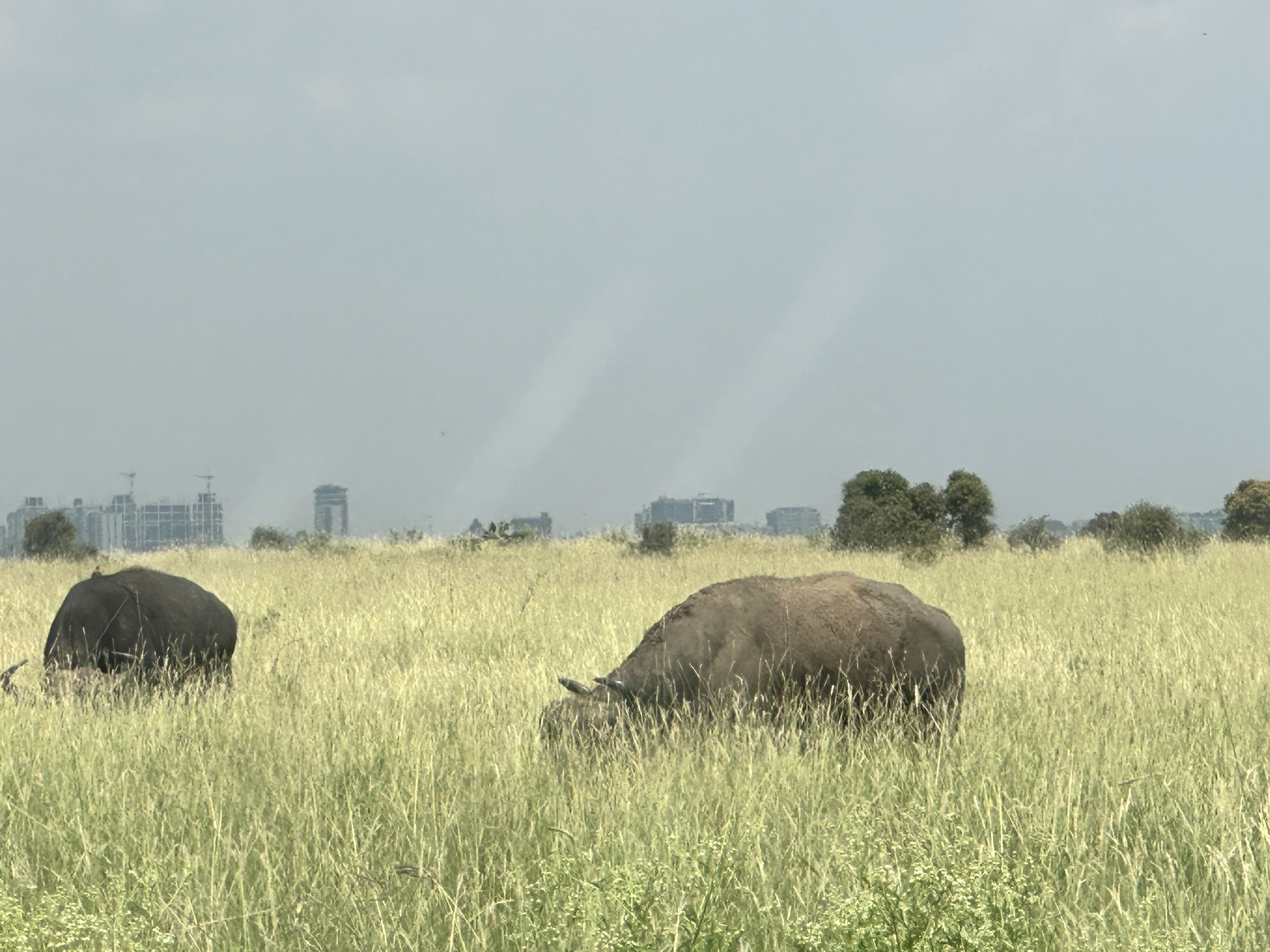 Nairobi