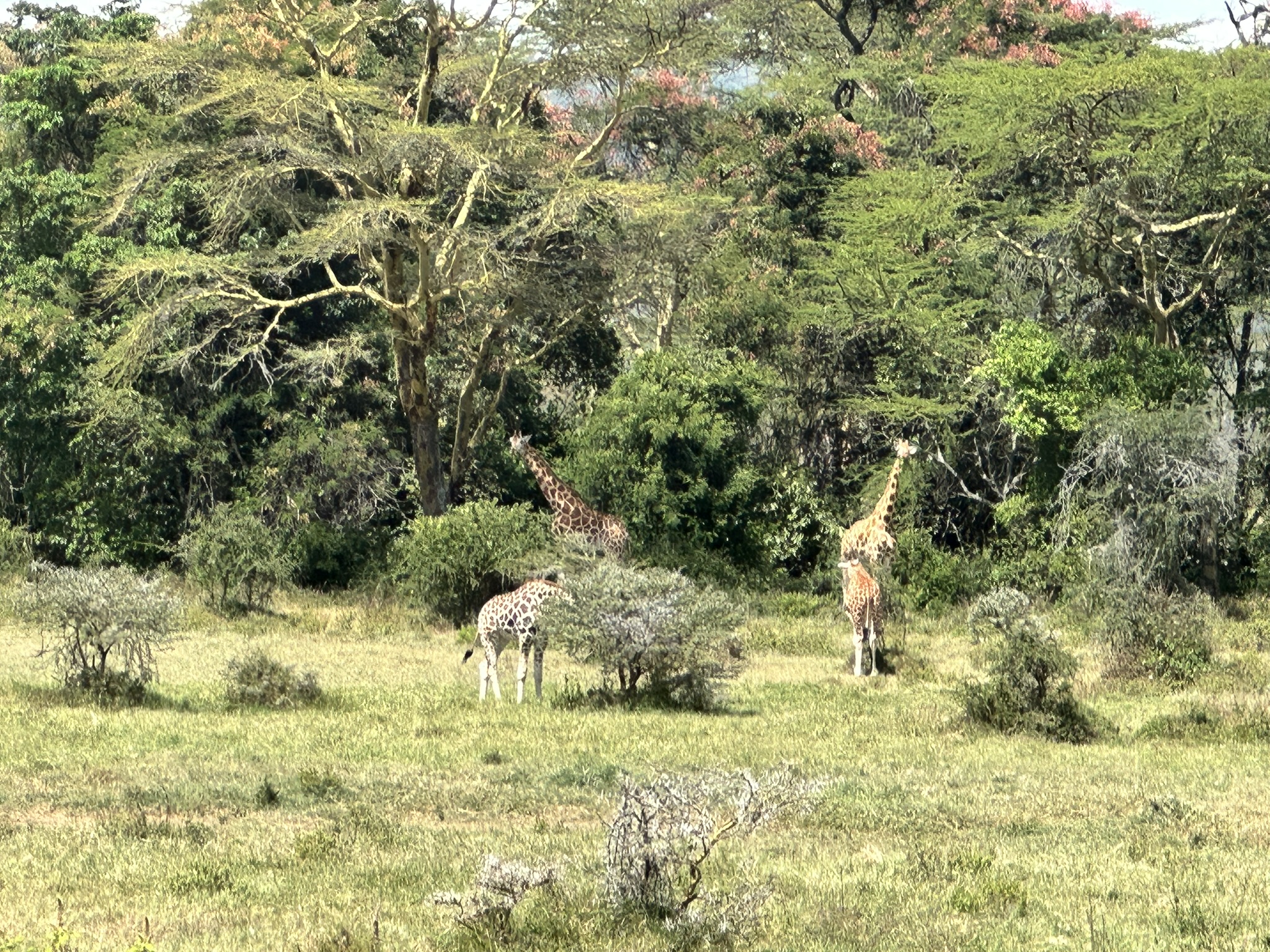 Nakuru